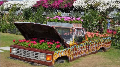 Dubai Miracle Garden | Dünyanın En Büyük Çiçek Bahçesi