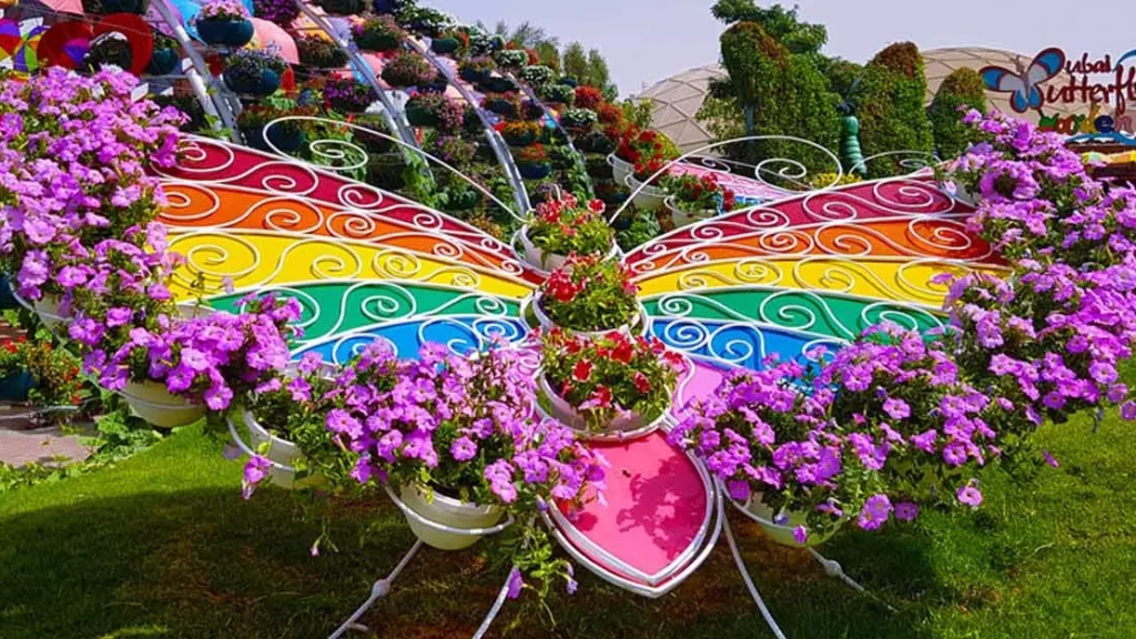 Dubai Butterfly Garden | Dünyanın En Büyük Kapalı Kelebek Bahçesi