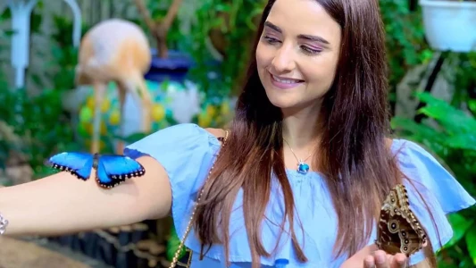 Dubai Butterfly Garden | Dünyanın En Büyük Kapalı Kelebek Bahçesi