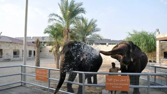 Abu Dhabi Emirates Park Zoo | Ailece Eğlenceli Hayvanat Bahçesi Deneyimi