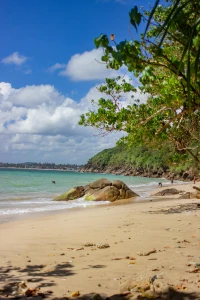 'СРИ ЛАНКА ТУРУ – БАЙРАМ СПЕЦІАЛЬНИЙ'