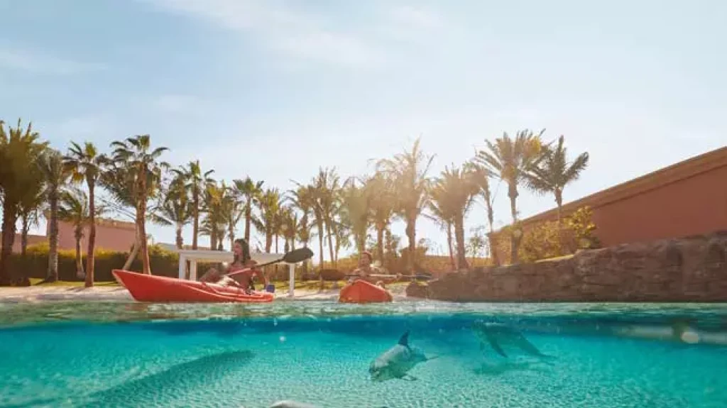 Dolphin Bay Atlantis The Palm Dubai | Yunuslarla Yüzme Deneyimi