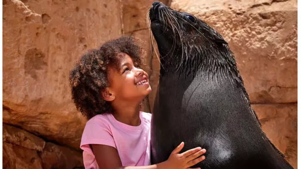 Dolphin Bay Atlantis The Palm Dubai | Yunuslarla Yüzme Deneyimi