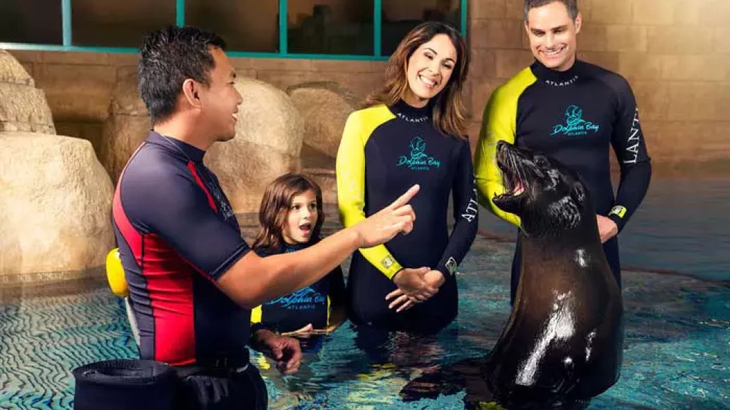 Dolphin Bay Atlantis The Palm Dubai | Yunuslarla Yüzme Deneyimi