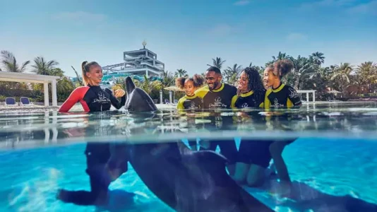 Dolphin Bay Atlantis The Palm Dubai | Yunuslarla Yüzme Deneyimi