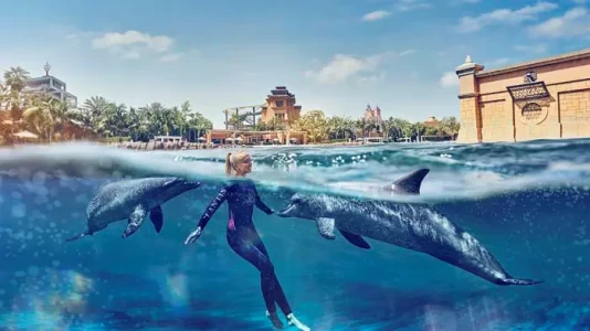 Dolphin Bay Atlantis The Palm Dubai | Yunuslarla Yüzme Deneyimi