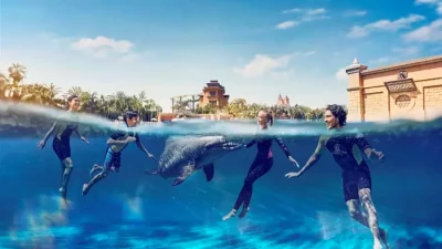 Dolphin Bay Atlantis The Palm Dubai | Yunuslarla Yüzme Deneyimi