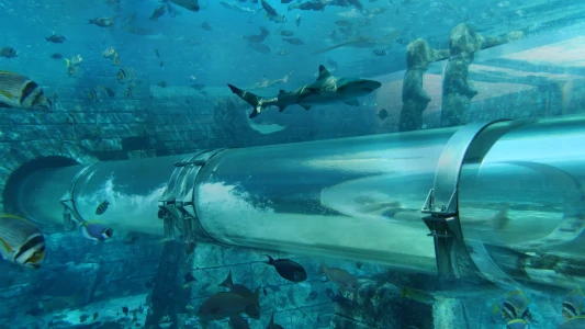 Aquaventure Waterpark Dubai | Atlantis The Palm Su Parkı Turları