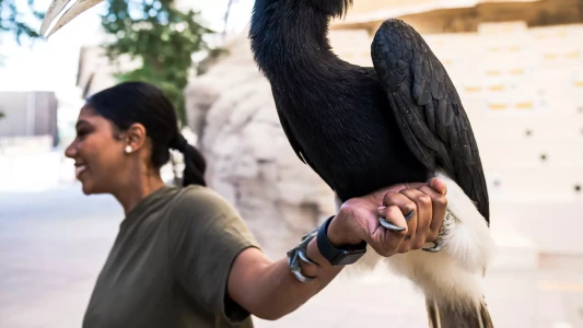 Dubai Safari Park | Dubai Hayvanat Bahçesi & Safari Turları