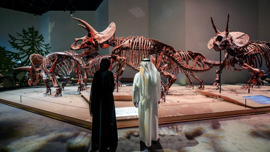Natural History Museum Abu Dhabi Biletleri | Abu Dhabi Doğa Tarihi Müzesi
