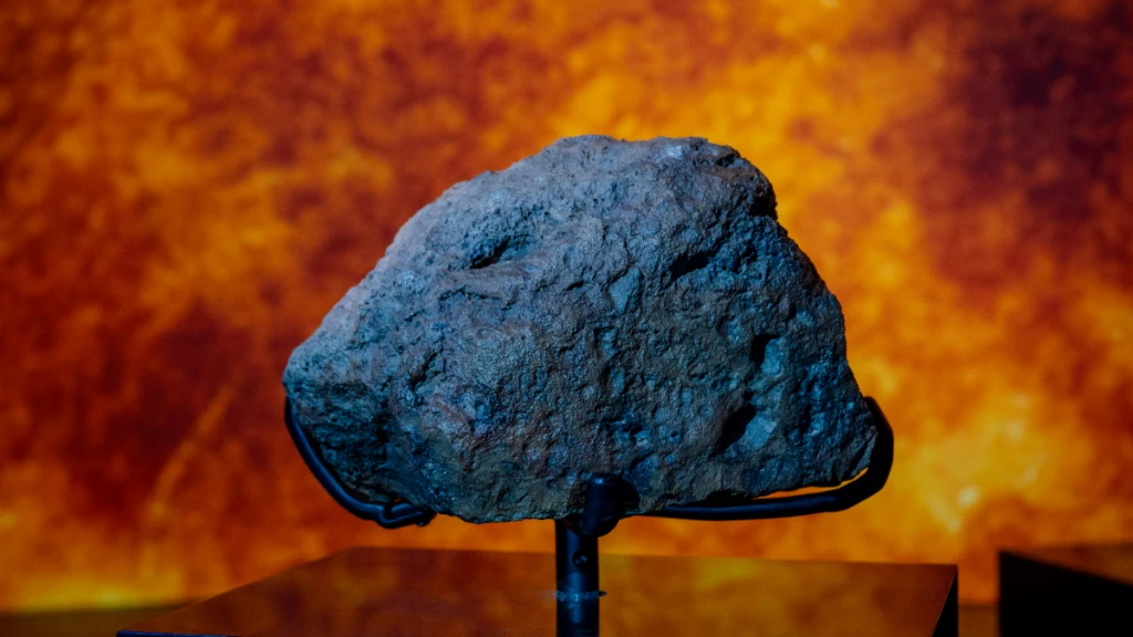 Natural History Museum Abu Dhabi Biletleri | Abu Dhabi Doğa Tarihi Müzesi