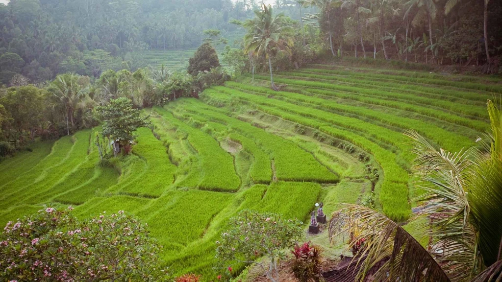 Endonezya Malezya Bali Turu 12 Gün