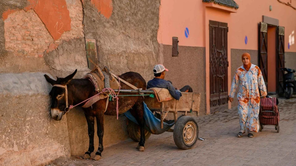 MEGA MISIR VE İKONLARI TURU Pegasus Havayolları ile 8 Gece || 16089||20257