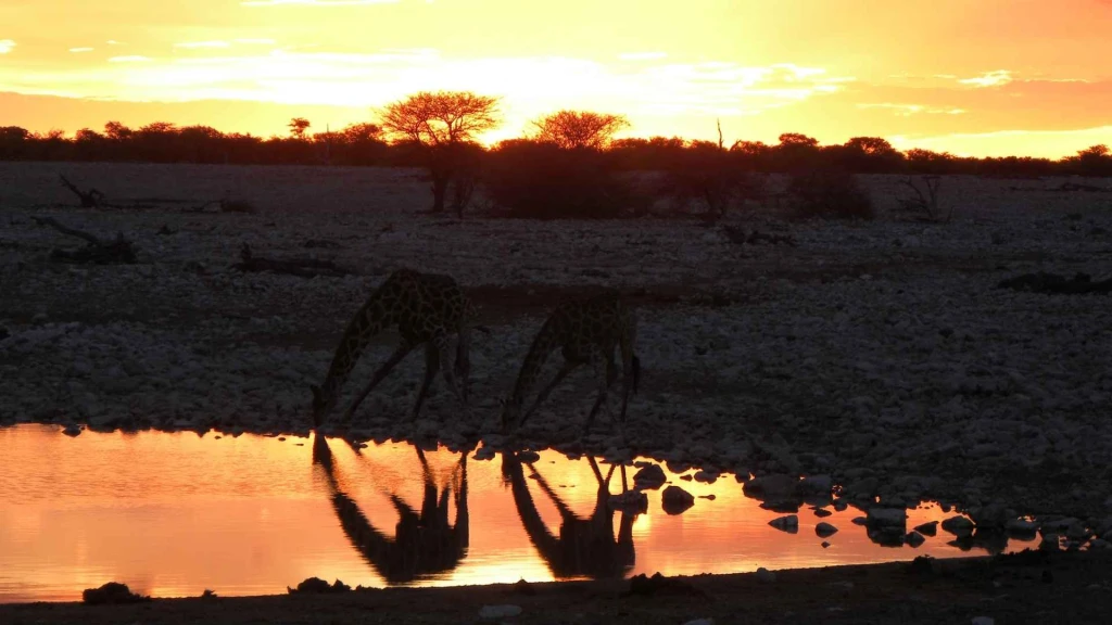 Büyük Afrika 4 Ülke Turu Türk Havayolları İle 11 Gece 12 Gün