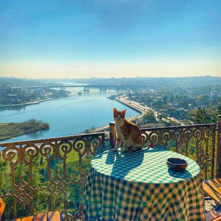 Daily Istanbul Tour Two Continents