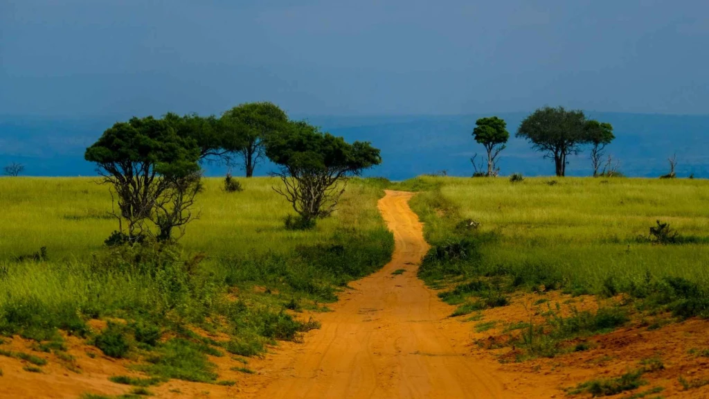 * VİZESİZ * - MUHTEŞEM GÜNEY AFRİKA - 2026 JOHANNESBURG (1) – SUN CITY (2) – CAPE TOWN (3)