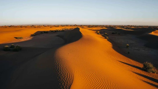 Gold Afrika Keşfi “Güney Afrika, Zimbabve, Botsvana” THY ile 7 gece (CPT-JNB) Cape Town (3) – Victoria Falls (3) – Chobe Ulusal Parkı – Johannesburg (1)
