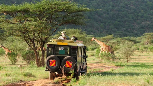 Gold Afrika Keşfi “Güney Afrika, Zimbabve, Botsvana” THY ile 7 gece (CPT-JNB) Cape Town (3) – Victoria Falls (3) – Chobe Ulusal Parkı – Johannesburg (1)