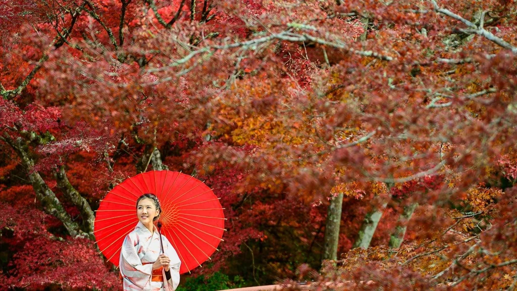 Kore ve Japonya Turu THY İLE 9 Gece ED001