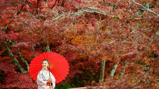 BÜYÜK JAPONYA 2026 KIŞ 6 GECE TK (HND-KIX) TOKYO (4) & OSAKA (2)
