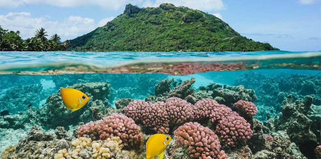 Tahiti 11-Nights Cruise | Small Ship Cruises in French Polynesia