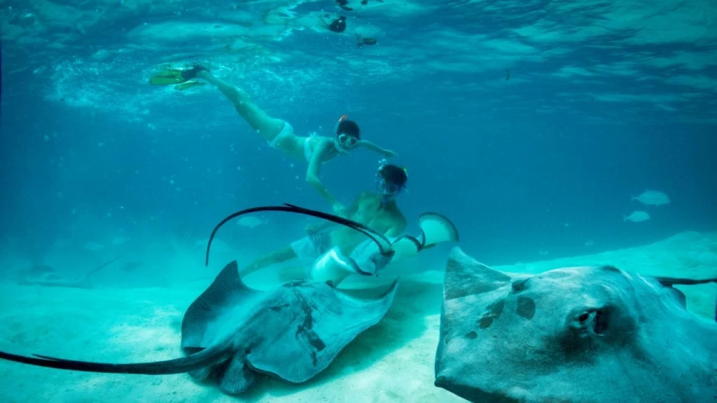 Tahiti 11-Nights Cruise | Small Ship Cruises in French Polynesia