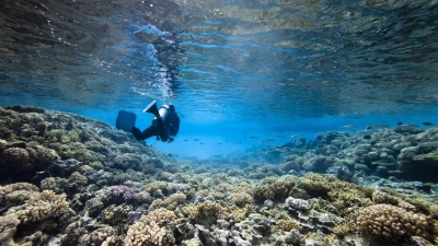 Seychelles Cruises – Small Ship Cruises