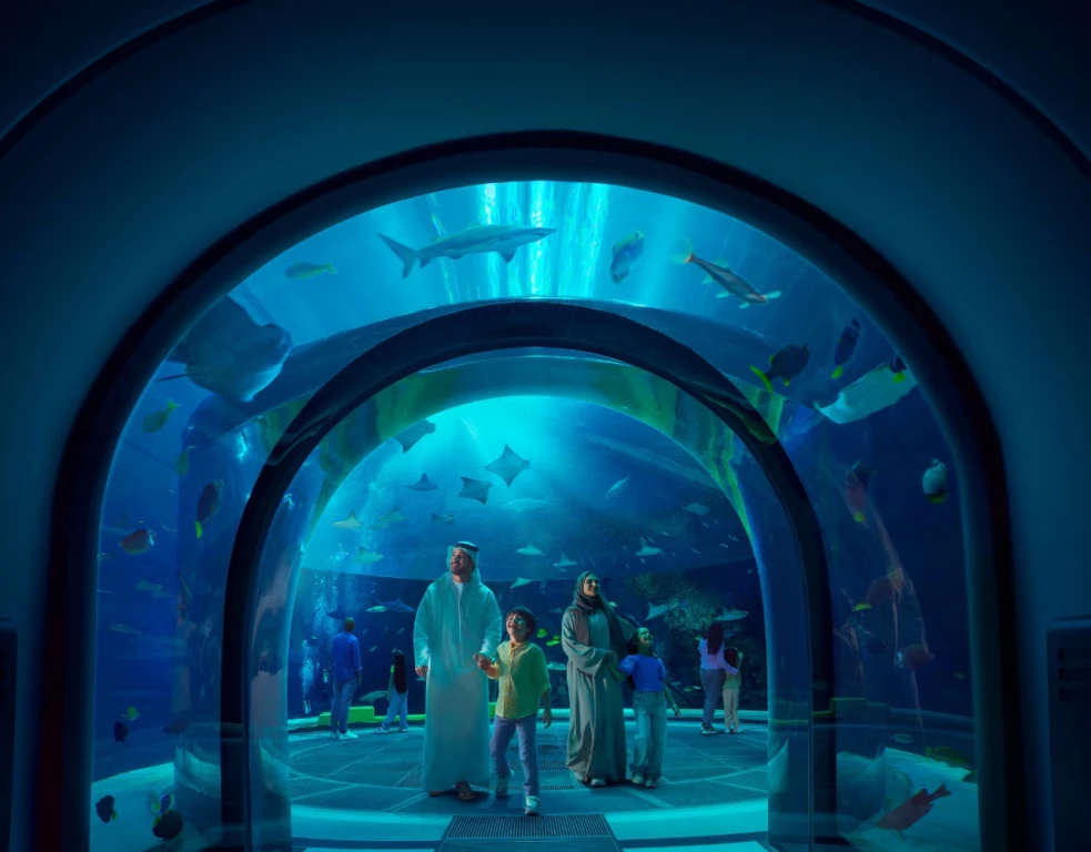 Yas Adası Abu Dhabi Tema Parkı 1 Gün – 1 Park