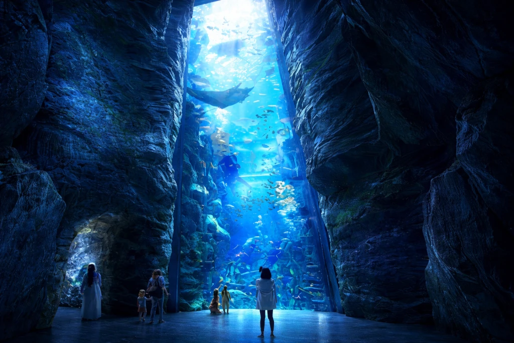 Pack de Combinaison Dubai