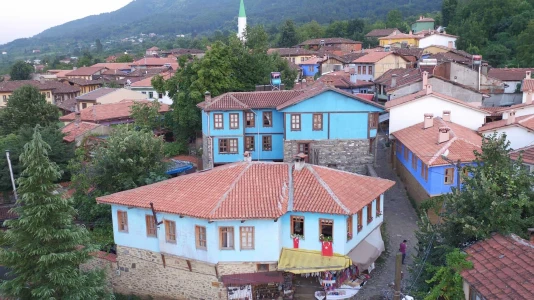 Kurban Bayramı Özel Günübirlik Cumalıkızık Gölyazı Mudanya Trilye Turu 