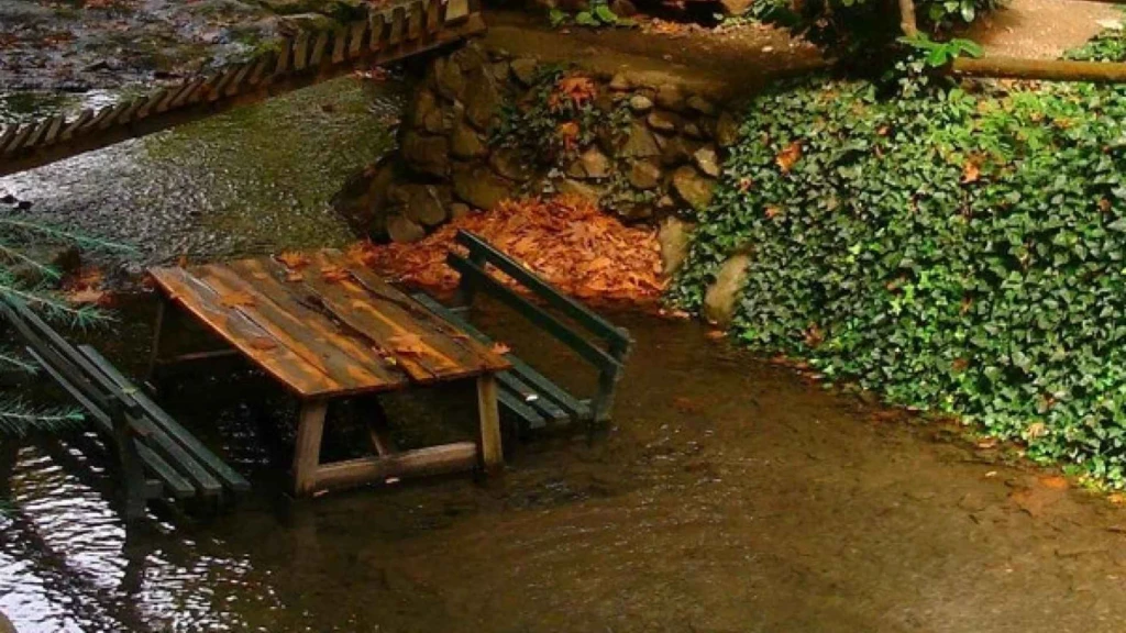 Kurban Bayramı Özel Günübirlik Maşukiye Cam Teras Ormanya Hobbit Evleri Turu