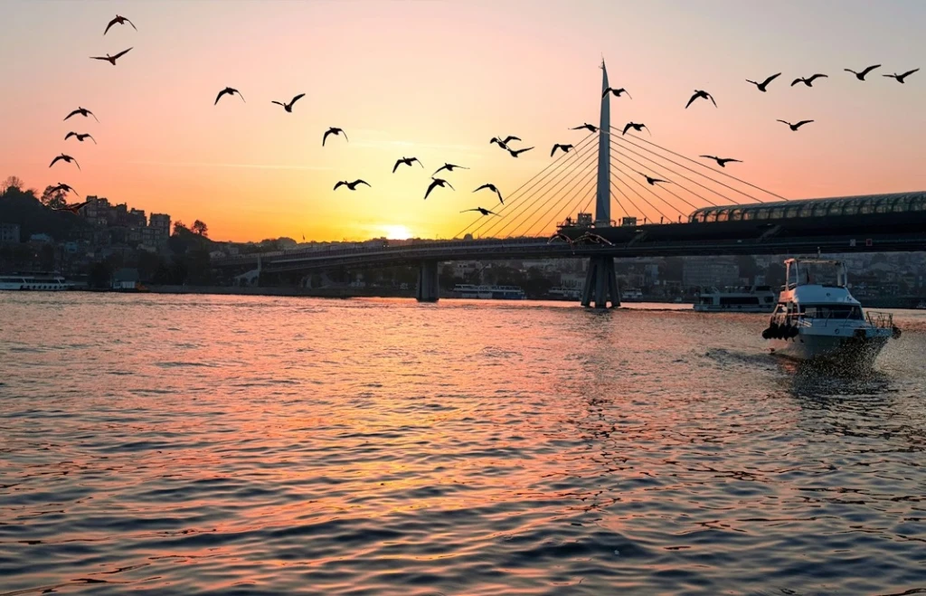 三小时日落巡航与饼干