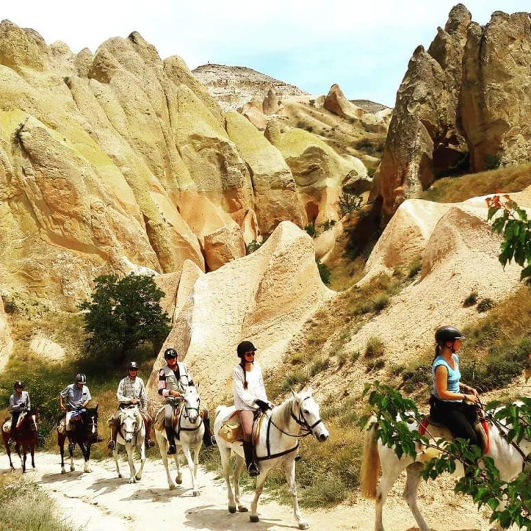 イスタンブール発カッパドキア2日間/1泊 飛行機利用