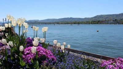 İsviçre'nin Altın Üçgeni Zürih & Bern & Cenevre Turu 19 Mayıs Özel Ajet Havayolları İle 3 Gece 4 Gün