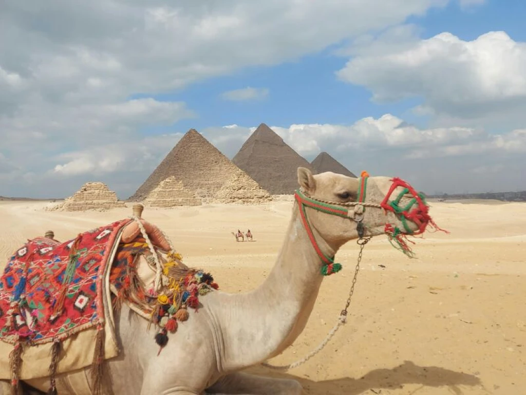 Promosyon Sharm El Sheikh Turu Ajet ile 3 Gece Transfer Saatine Kadar Otel Kullanımlı