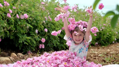 Isparta Gül Hasadı ve Sagalassos Salda Pamukkale Turu 1 Gece Konaklamalı