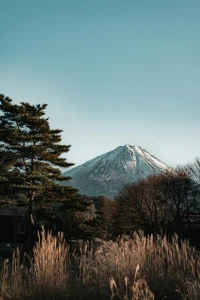 Platinum Doğu Asya’nın Çiçeği ve Güneşi “Güney Kore ve Japonya” THY ile 9 gece (ICN-HND) Seul (3) –...
