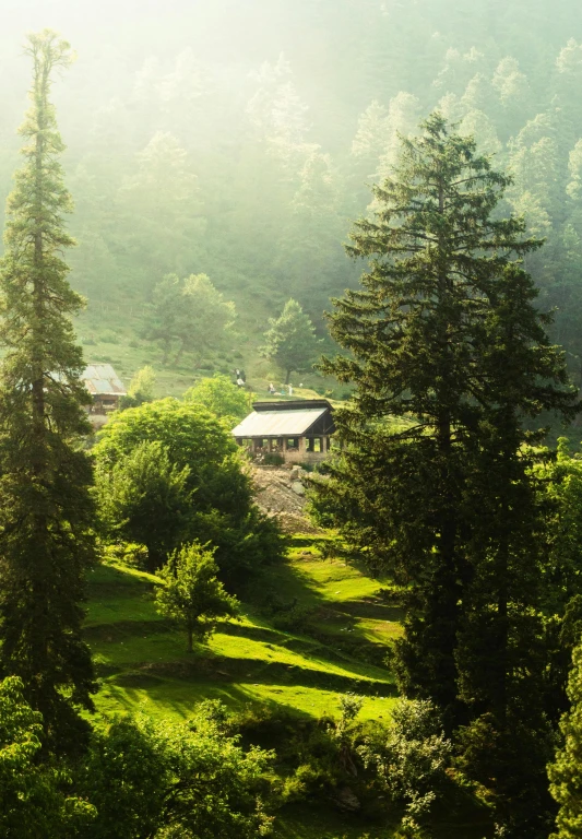 Platinum Doğu Asya’nın Çiçeği ve Güneşi “Güney Kore ve Japonya” THY ile 9 gece (ICN-HND) Seul (3) – Osaka (3) – Nara – Kyoto – Tokyo (3) – Hakone | Tüm turlar ve giriş ücretleri dahil
