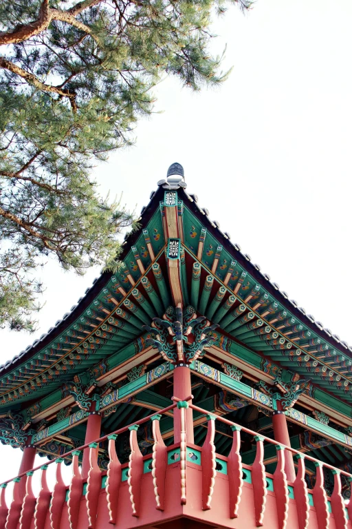 Platinum Doğu Asya’nın Çiçeği ve Güneşi “Güney Kore ve Japonya” THY ile 9 gece (ICN-HND) Seul (3) – Osaka (3) – Nara – Kyoto – Tokyo (3) – Hakone | Tüm turlar ve giriş ücretleri dahil
