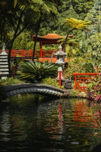 Platinum Doğu Asya’nın Çiçeği ve Güneşi “Güney Kore ve Japonya” THY ile 9 gece (ICN-HND) Seul (3) –...