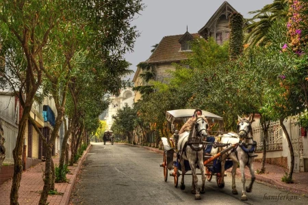 Odkrywanie Wyspy Książęcej i Kınalıada