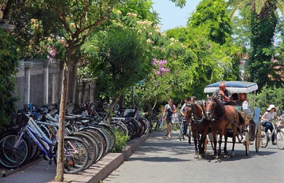 Princes Island and Kinaliada Discovery