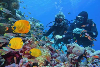 Kusadasi Scuba Diving: Discover the Underwater World