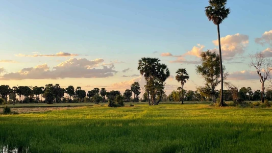 BALİ VE PHUKET ILE  FENOMEN UZAK DOĞU TURU Singapore Airlines ile 10 Gece Kurban Bayramı Özel SIN-SIN