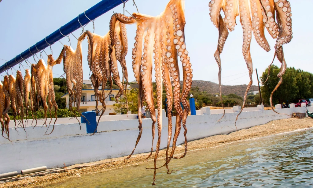 Prime Leros Turu 2 Nuits 3 Jours | Possibilité de Visa à l'Arrivée