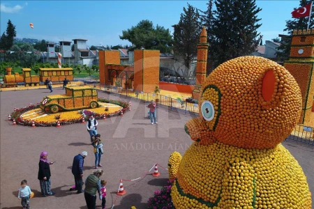 ADANA PORTAKAL ÇİÇEĞİ FESTİVALİ
