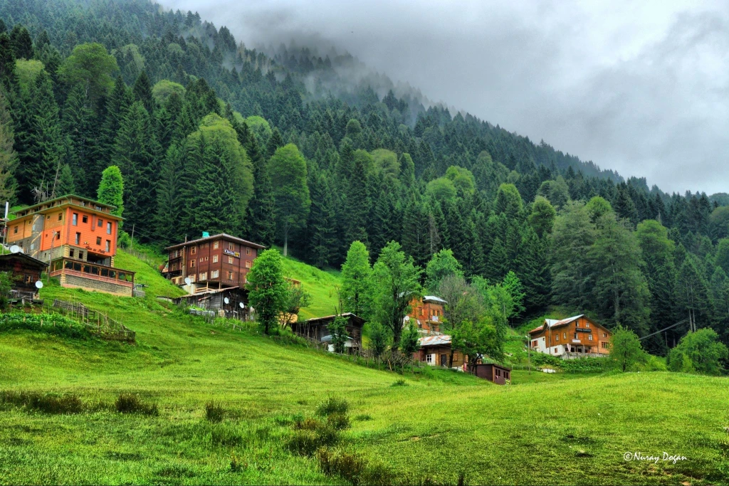 Uçaklı Karadeniz Yaylaları ve Batum Turu (Batum Konaklamalı) / 3 Gece Konaklamalı / İstanbul Çıkışlı