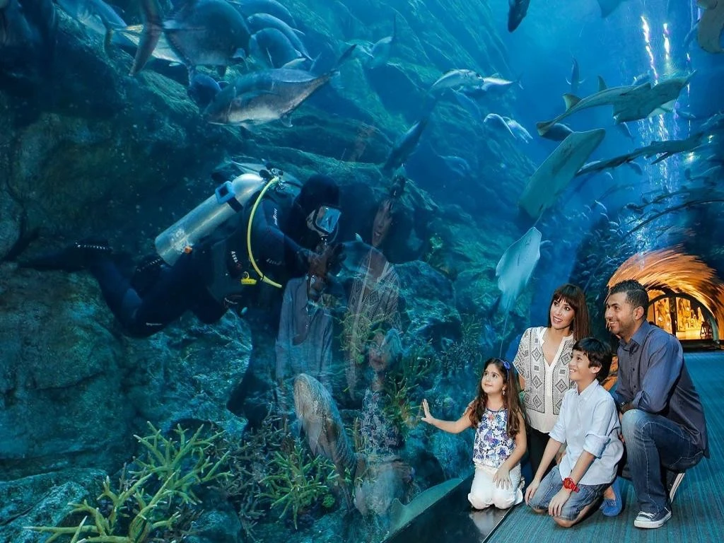 Dubai Mall Akvaryumu ve Penguin Koyu
