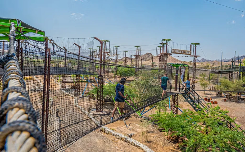 هتا وادي - المشي في الشبكة