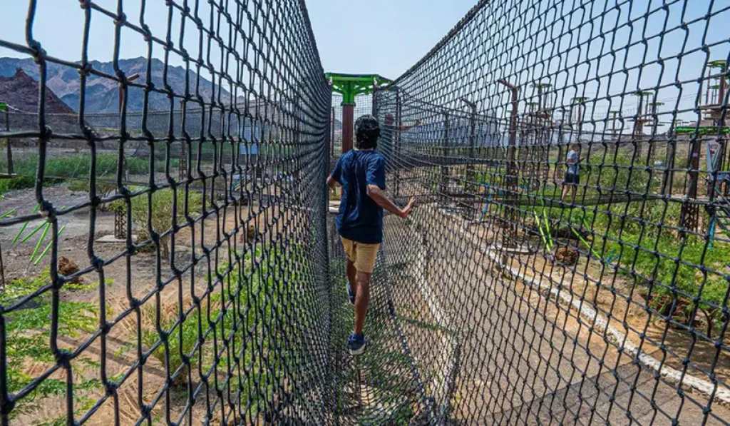 هتا وادي - المشي في الشبكة